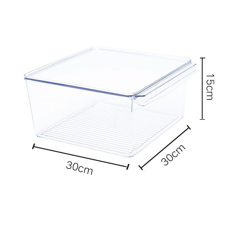 Caja de Almacenamiento Multitamaño PET Transparente