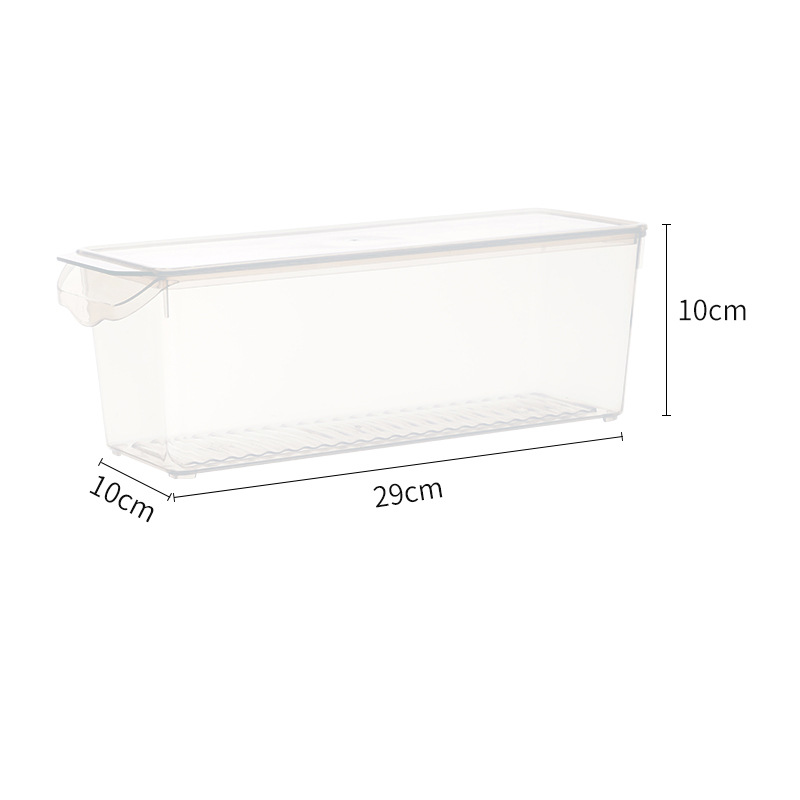 Contenedor de Alimentos Multitamaño PP Transparente