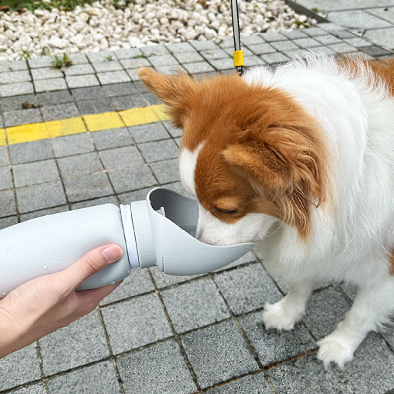 Vaso de Agua para Mascotas 25.5×9.6cm Silicona Surtido