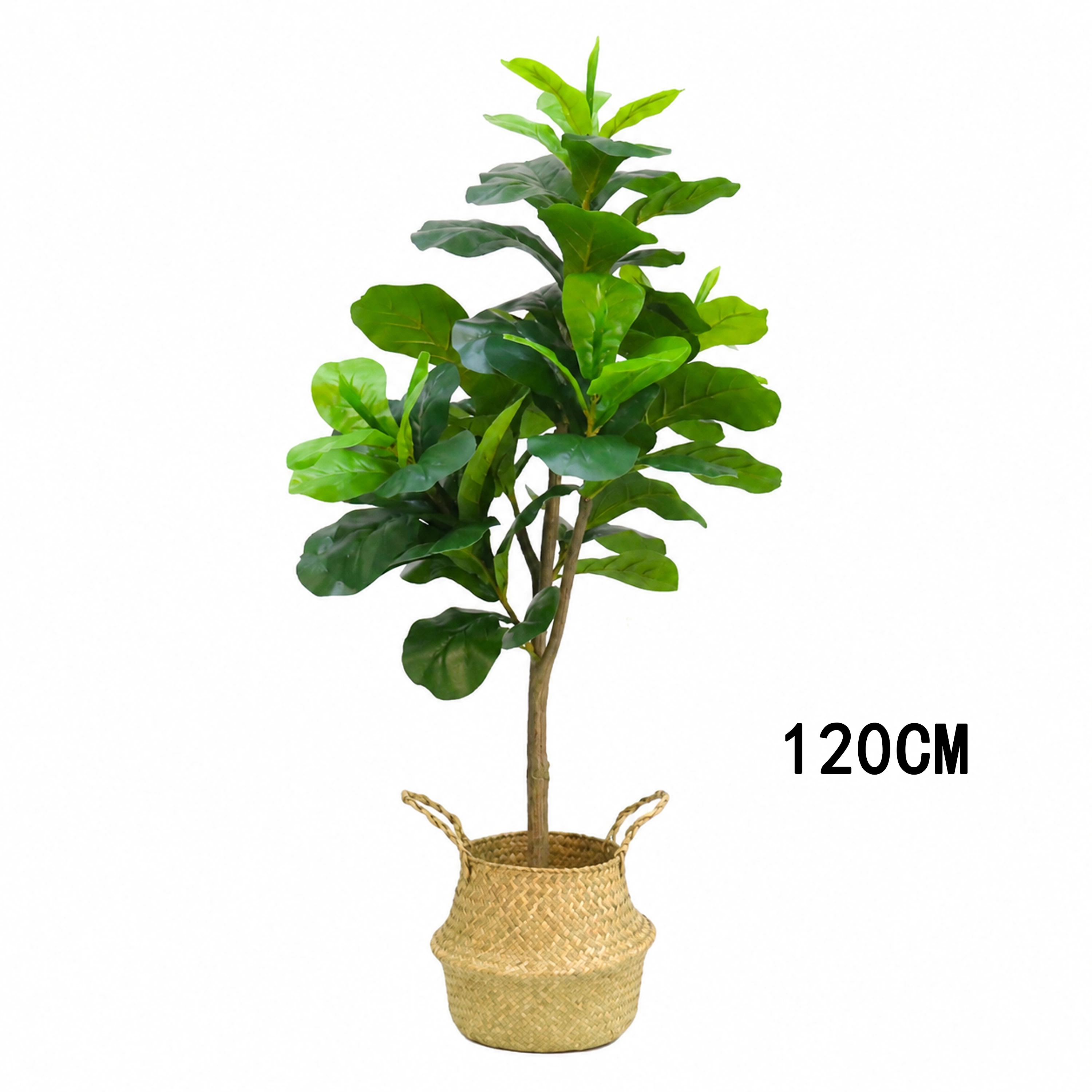 Ficus Lyrata 120 Varios Tamaños Disponibles Plástico Artificial image 3