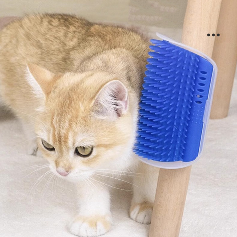 Groomer para Gato 15.4*8.5cm Plástico Surtido