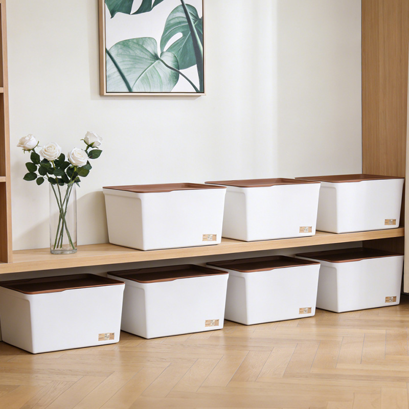 Caja de Almacenamiento Multitamaño PP con Tapa Surtido