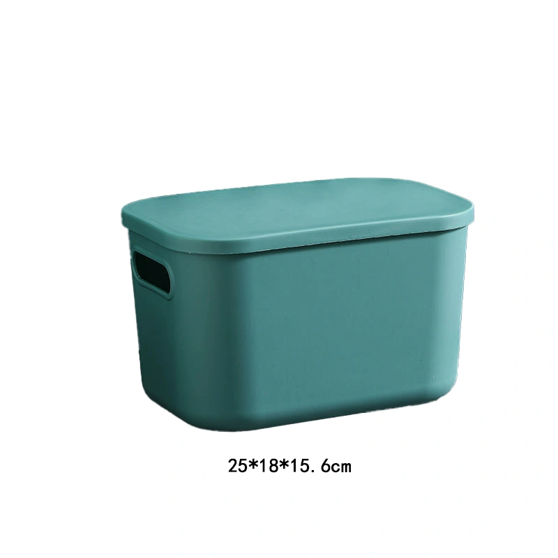 Caja Organizadora Varias Medidas de Plástico para Objetos Varios