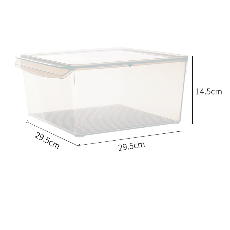 Contenedor de Alimentos Multitamaño PP Transparente
