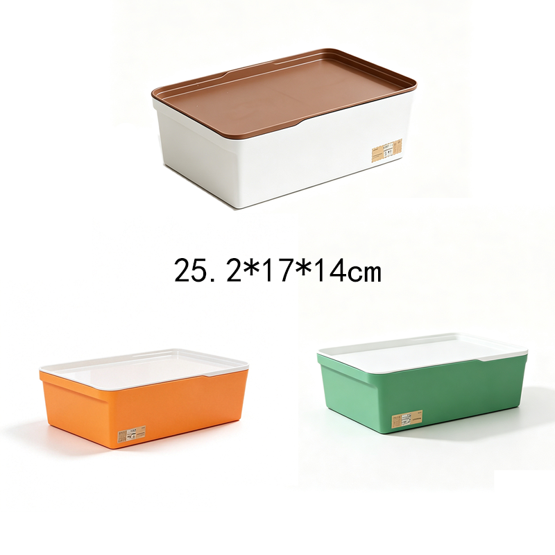 Caja de Almacenamiento Multitamaño PP con Tapa Surtido
