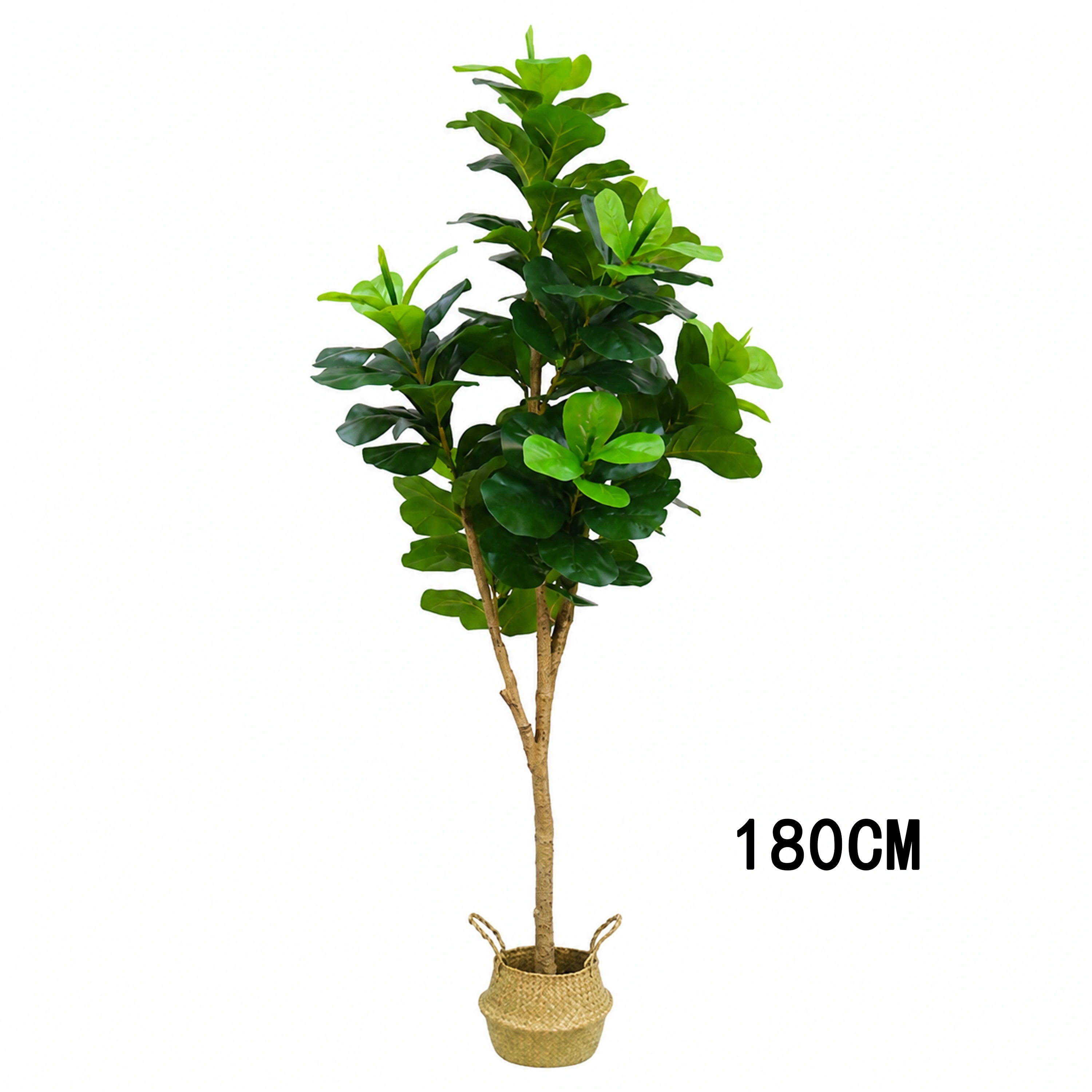 Ficus Lyrata 120 Varios Tamaños Disponibles Plástico Artificial image 5
