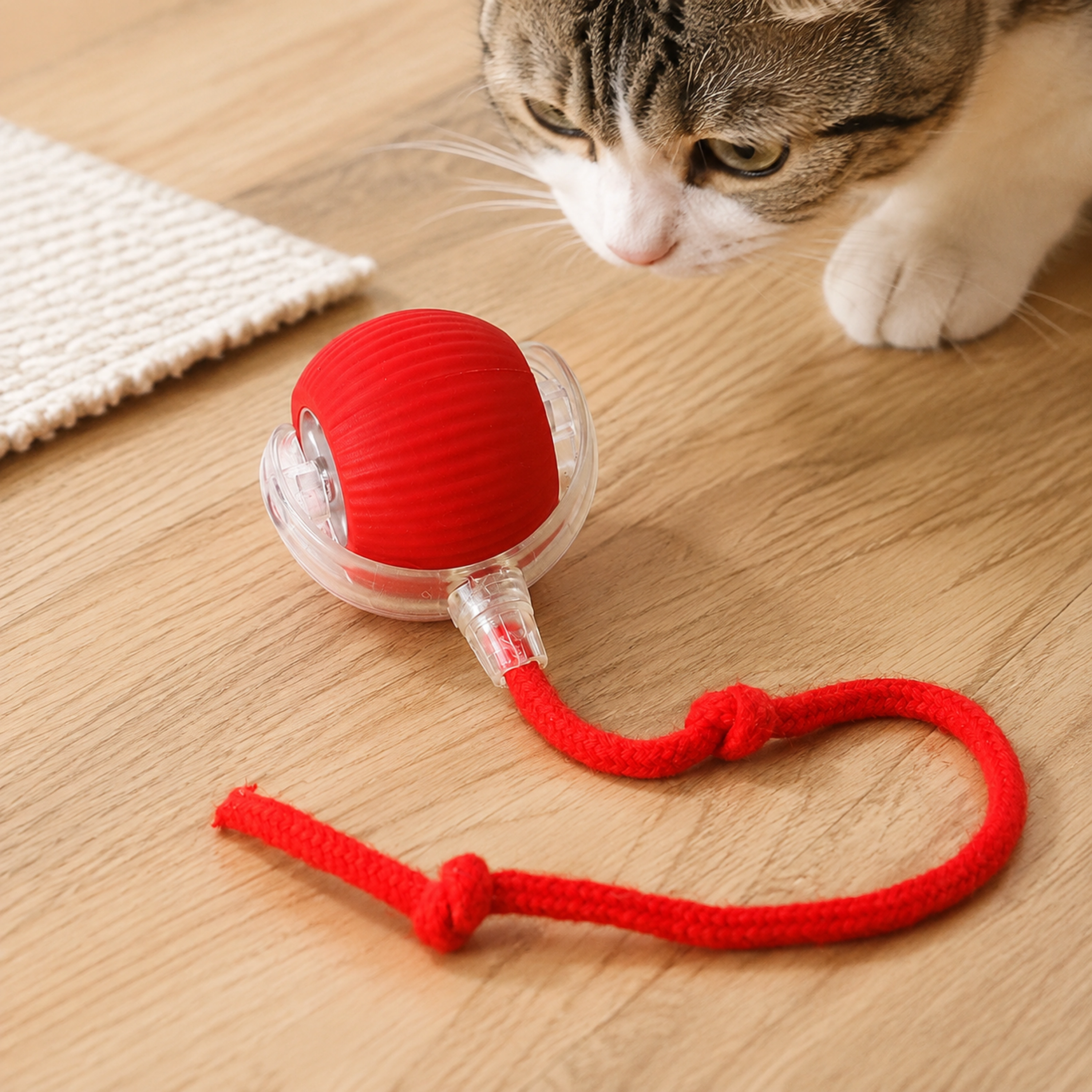 Pelota para Gatos 5×5×5cm Plástico Rojo