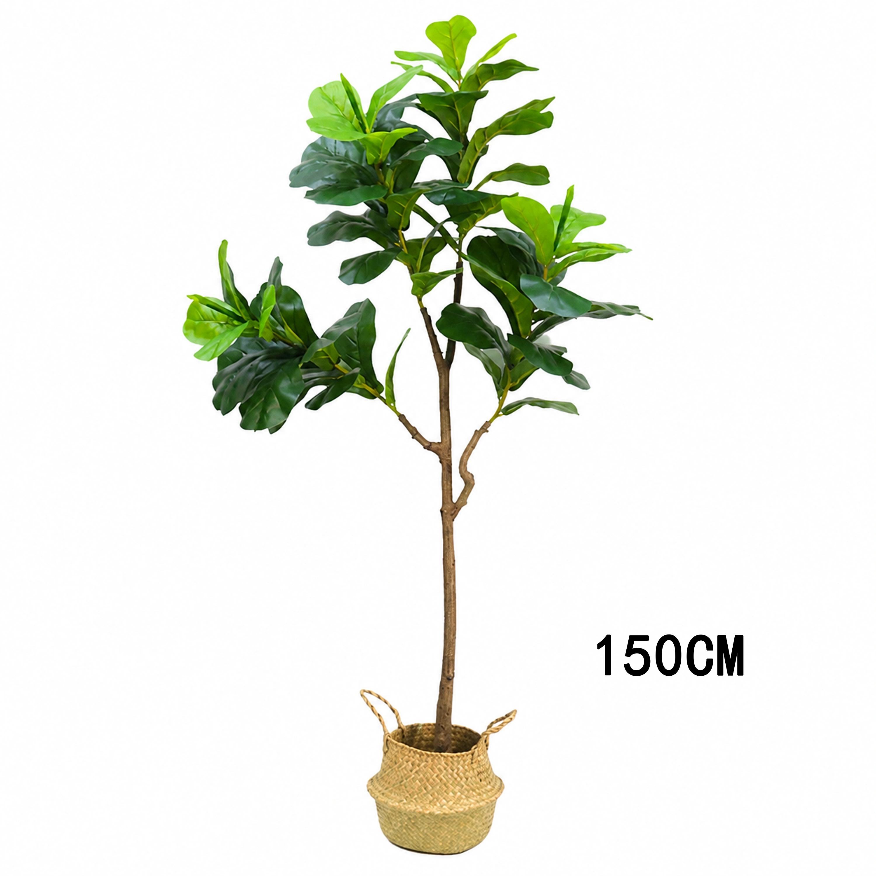 Ficus Lyrata 120 Varios Tamaños Disponibles Plástico Artificial image 4