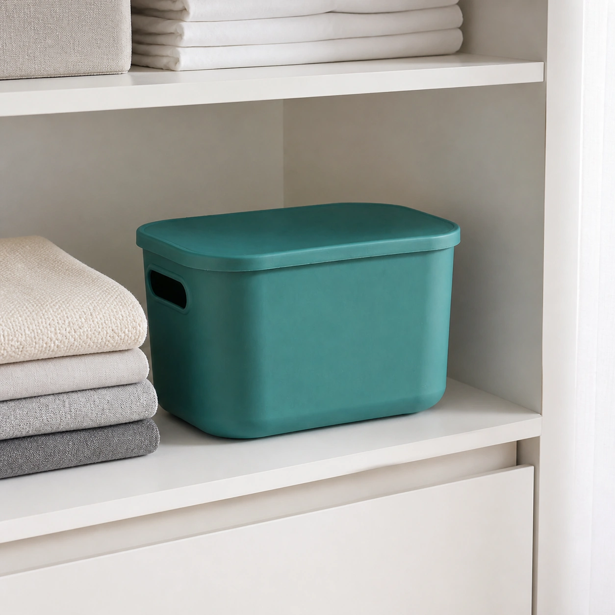Caja Organizadora Varias Medidas de Plástico para Objetos Varios