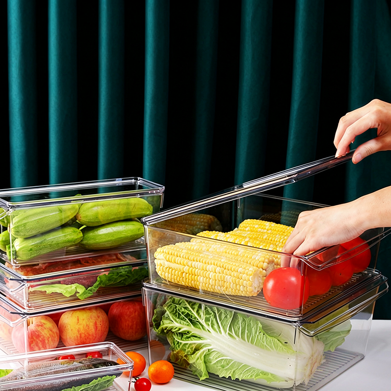 Contenedor de Alimentos Multitamaño PP Transparente