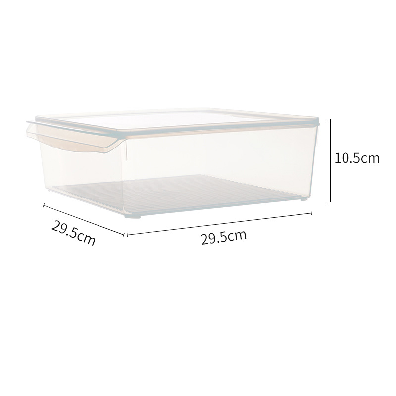 Contenedor de Alimentos Multitamaño PP Transparente
