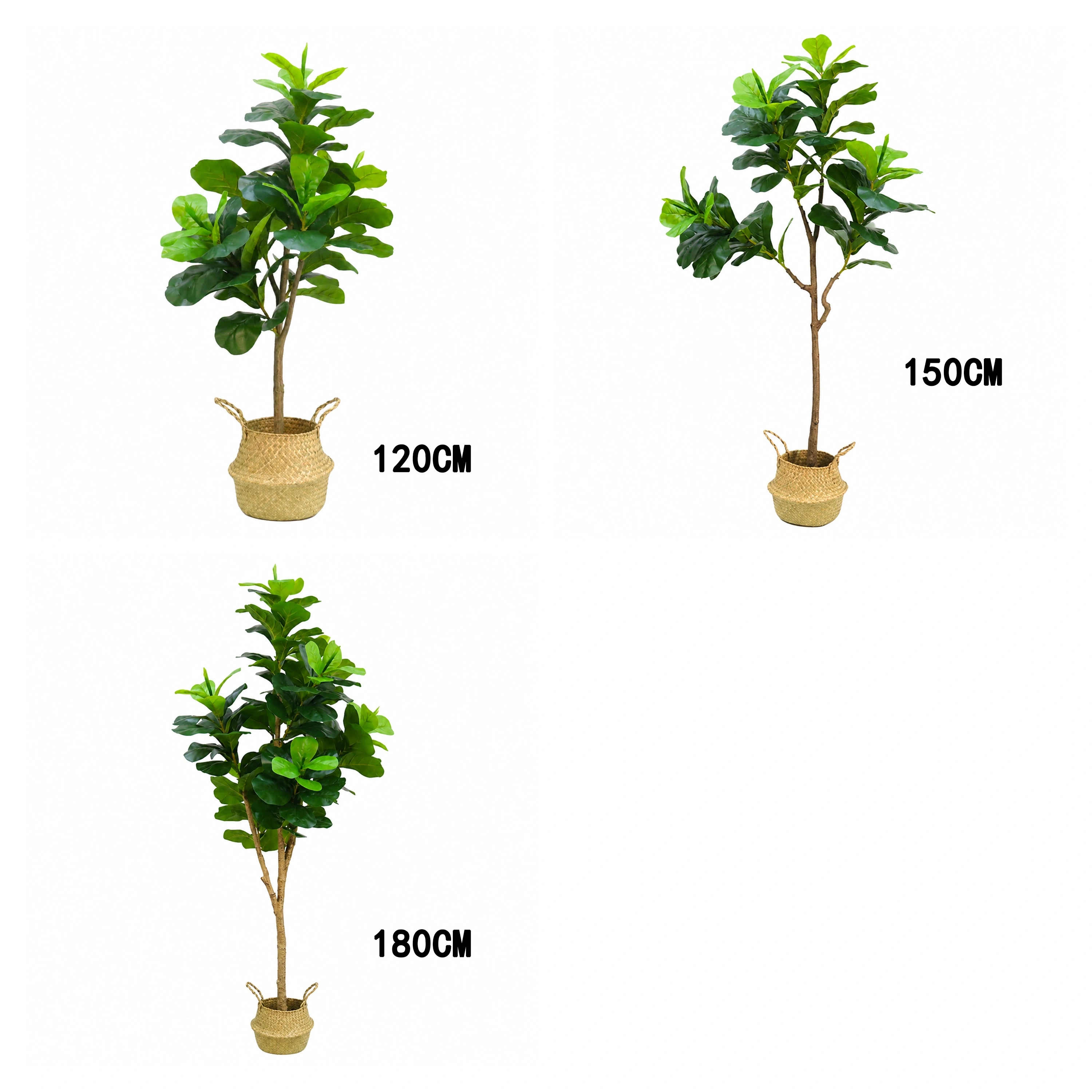Ficus Lyrata 120 Varios Tamaños Disponibles Plástico Artificial image 2