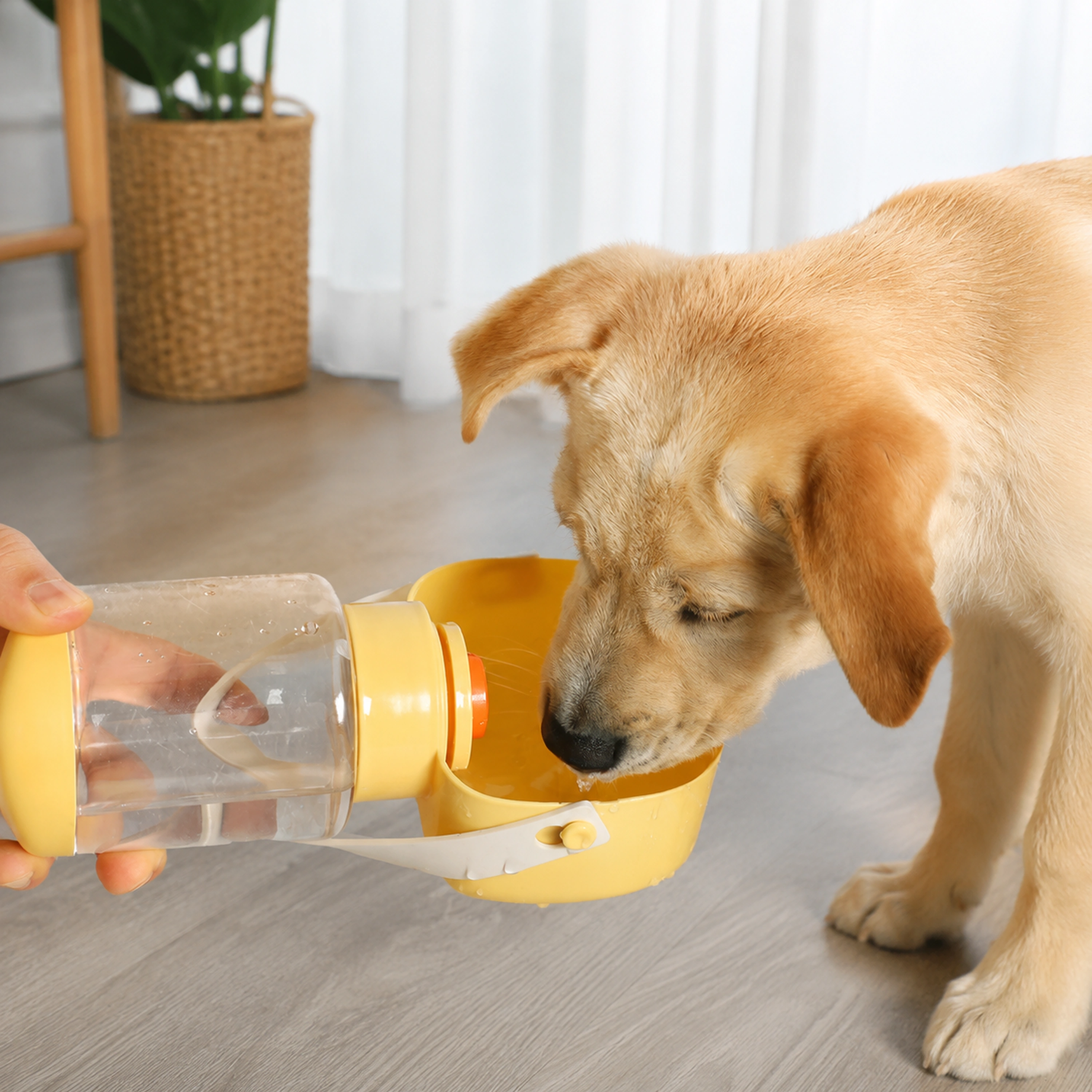 Vaso Portátil para Mascotas 350ml + 200ml Plástico Surtido