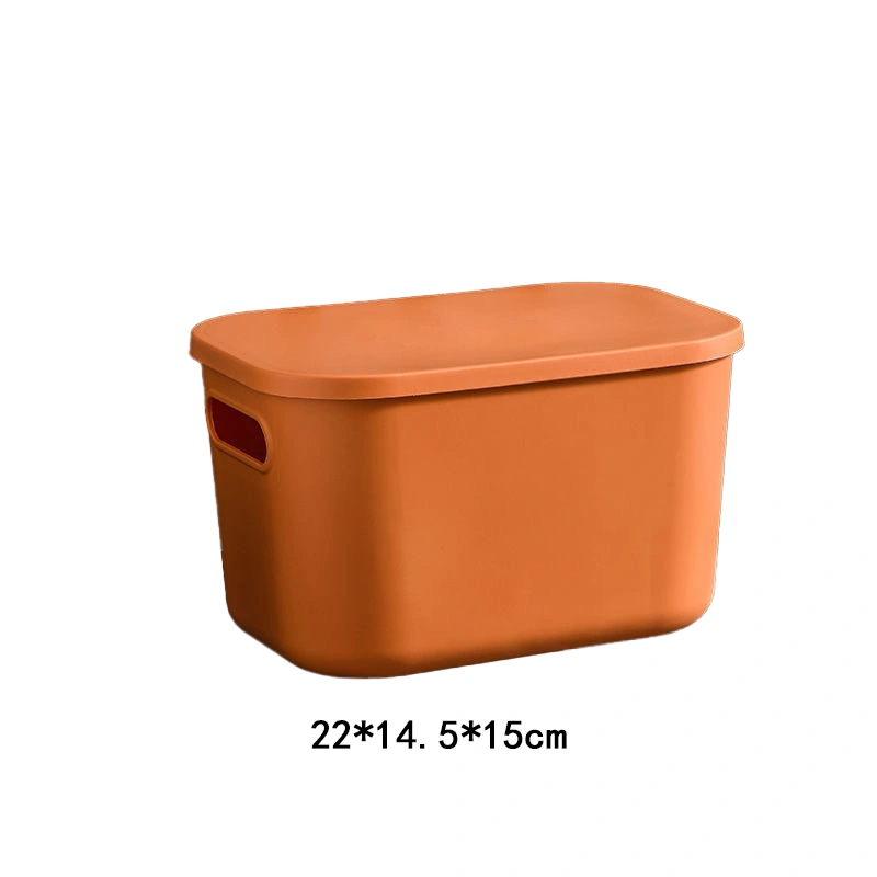 Caja Organizadora Varias Medidas de Plástico para Objetos Varios