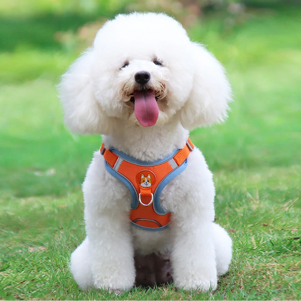 Arnés para Mascotas S/M/L/XL Poliéster Surtido
