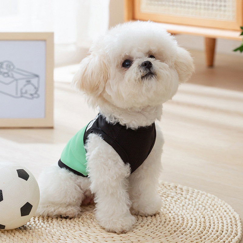 Ropa para Mascotas XS/S/M/L/XL Poliéster Surtido
