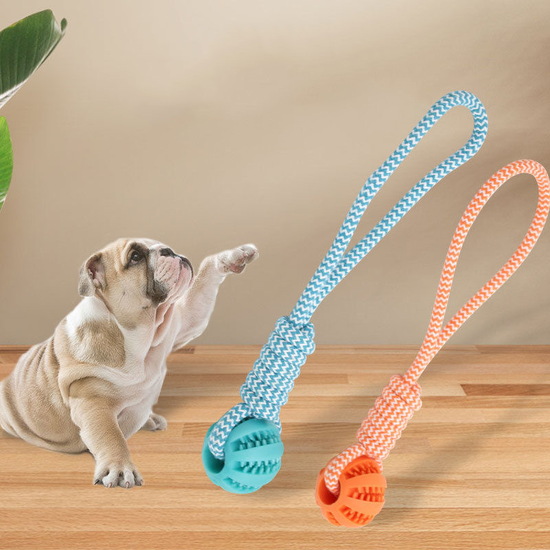 Juguete para Perro 6cm Plástico Surtido image 1