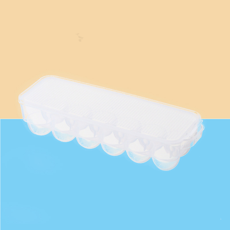 Organizador de Huevos Multitamaño PP Transparente