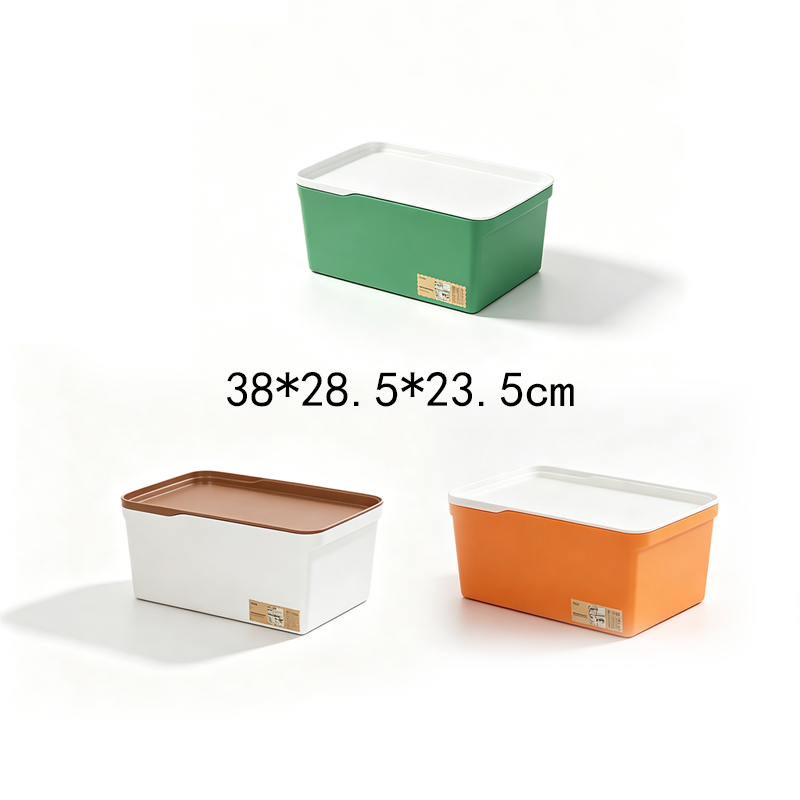 Caja de Almacenamiento Multitamaño PP con Tapa Surtido