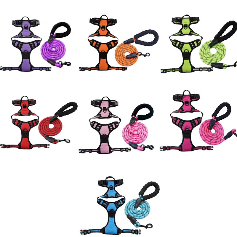 Correa para Mascotas Set 24×18×2cm Poliéster Surtido
