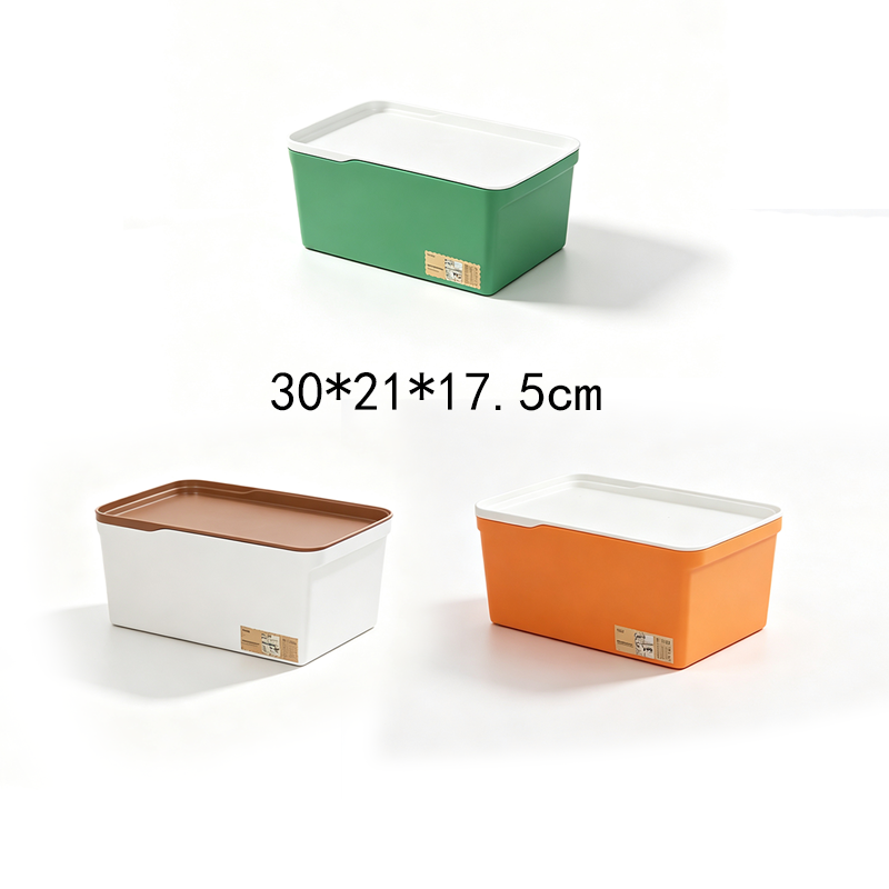 Caja de Almacenamiento Multitamaño PP con Tapa Surtido