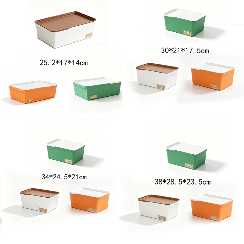 Caja de Almacenamiento Multitamaño PP con Tapa Surtido