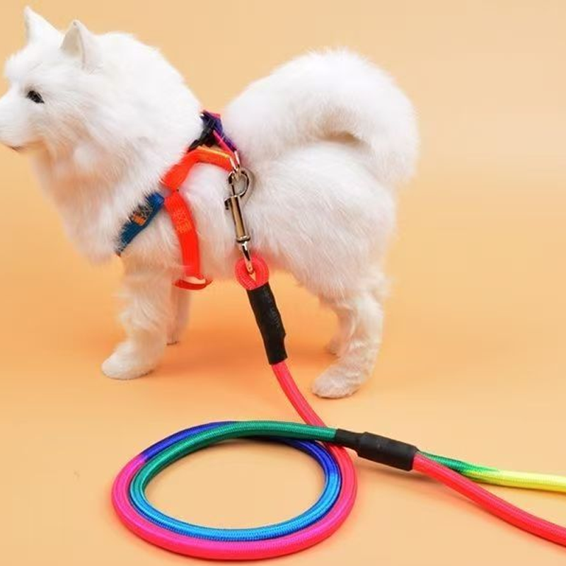 Correa para Mascotas 0.8×120cm Poliéster Multicolor