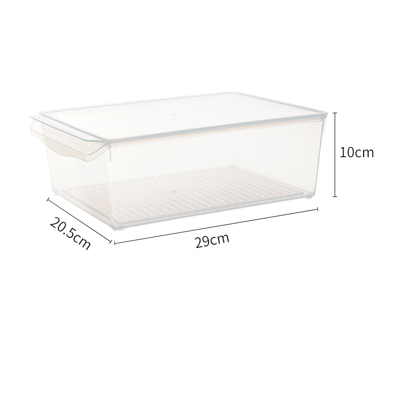 Contenedor de Alimentos Multitamaño PP Transparente