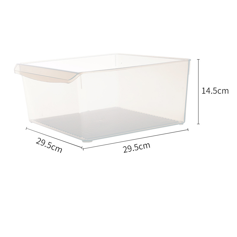Contenedor de Alimentos Multitamaño PP Transparente
