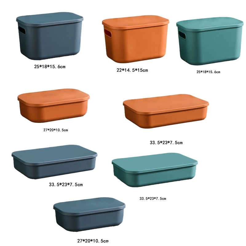 Caja Organizadora Varias Medidas de Plástico para Objetos Varios