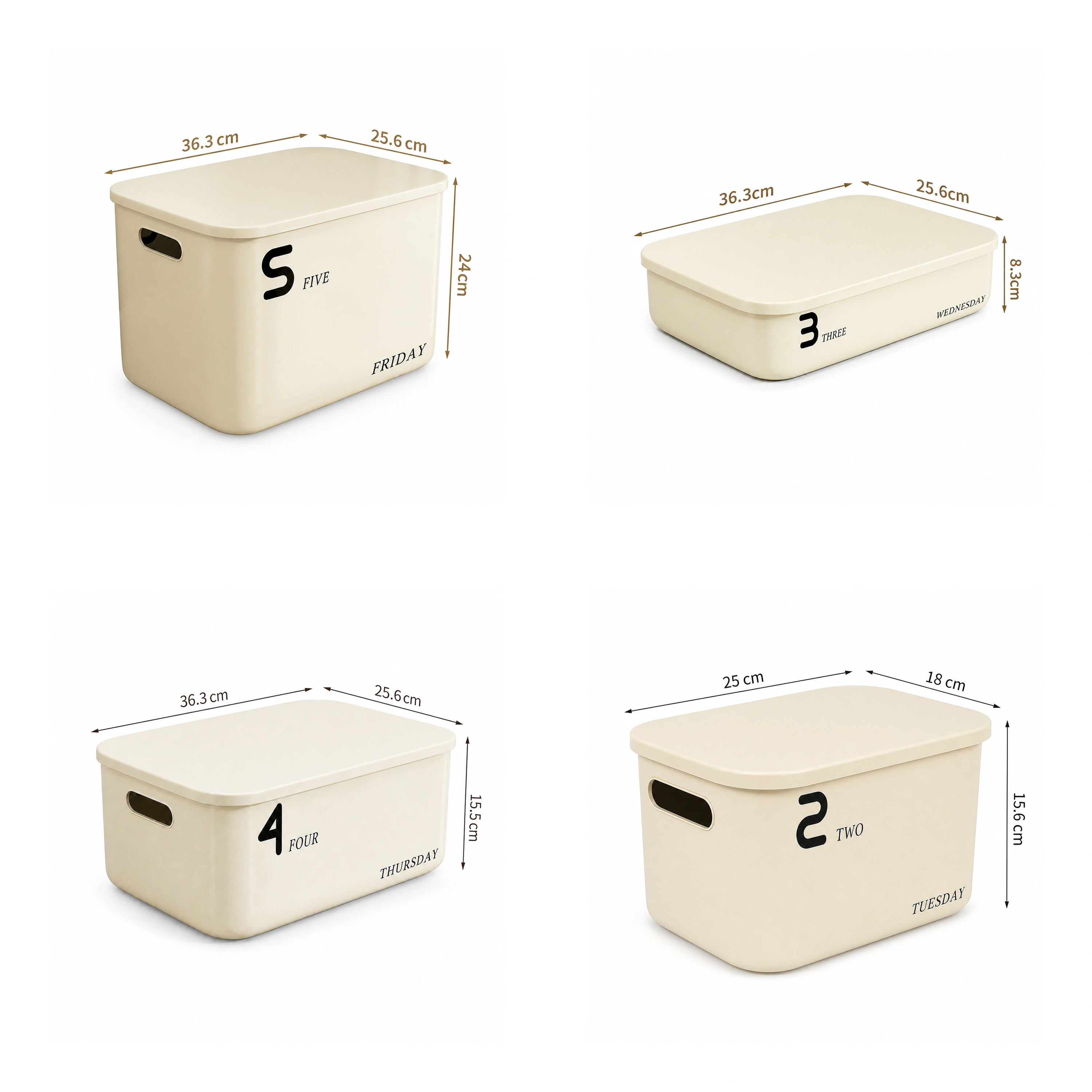 Caja Organizadora Varias Medidas de Plástico para Objetos Varios