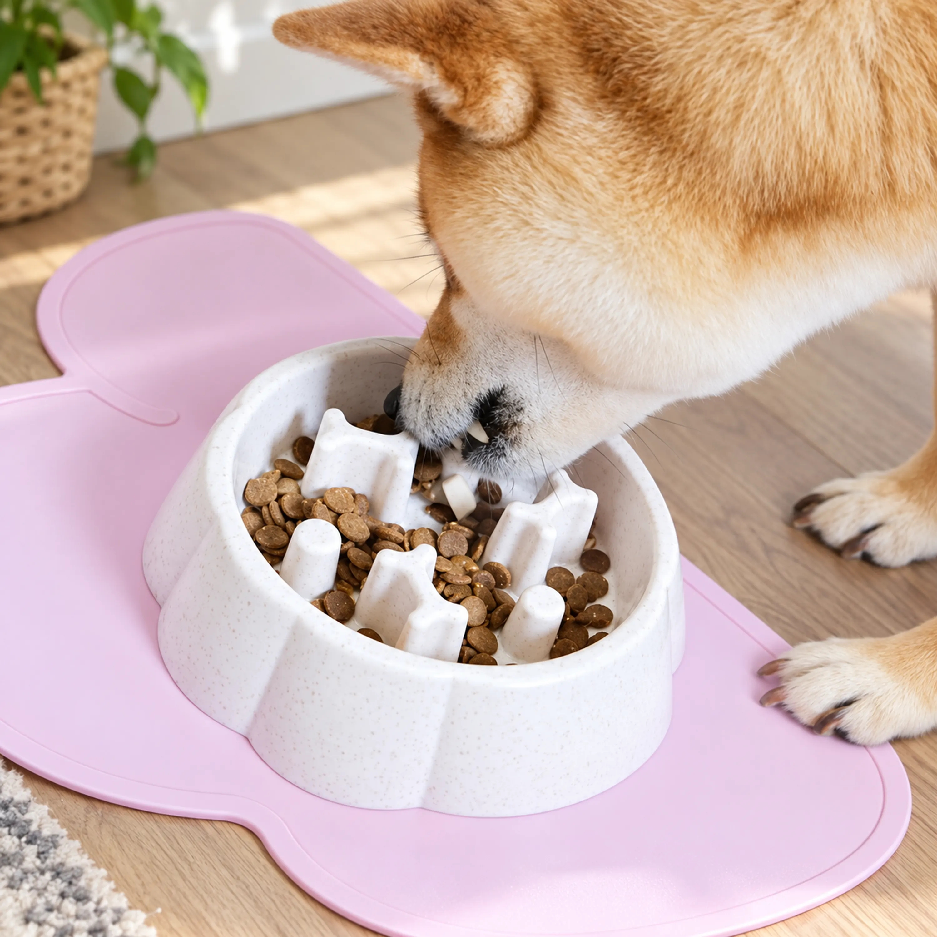 Comedero Lento para Perros y Gatos de Plástico Antivuelco y Antiatragantamiento Surtido image 1